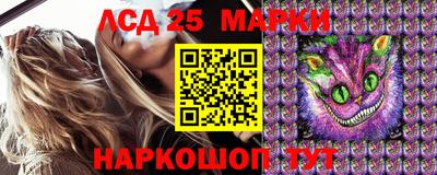 сатива Будённовск