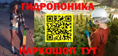 PSILOCYBIN Бугуруслан