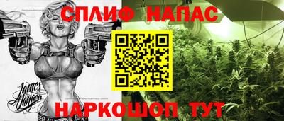 сатива Будённовск